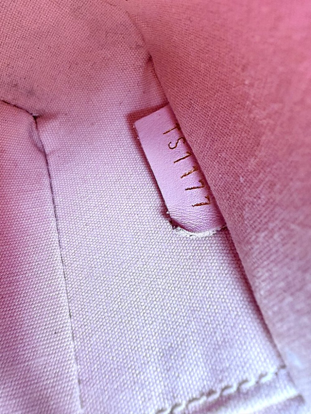 Louis Vuitton Shoulder and Crossbody Bag - Picture 9 of 14